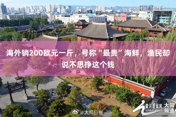海外销200欧元一斤，号称“最贵”海鲜，渔民却说不思挣这个钱